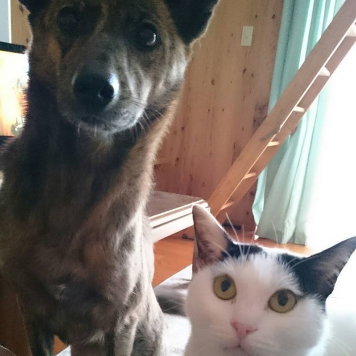 0ea14b3d cc24 4cd4 b70a 8d8d2f42c9e3