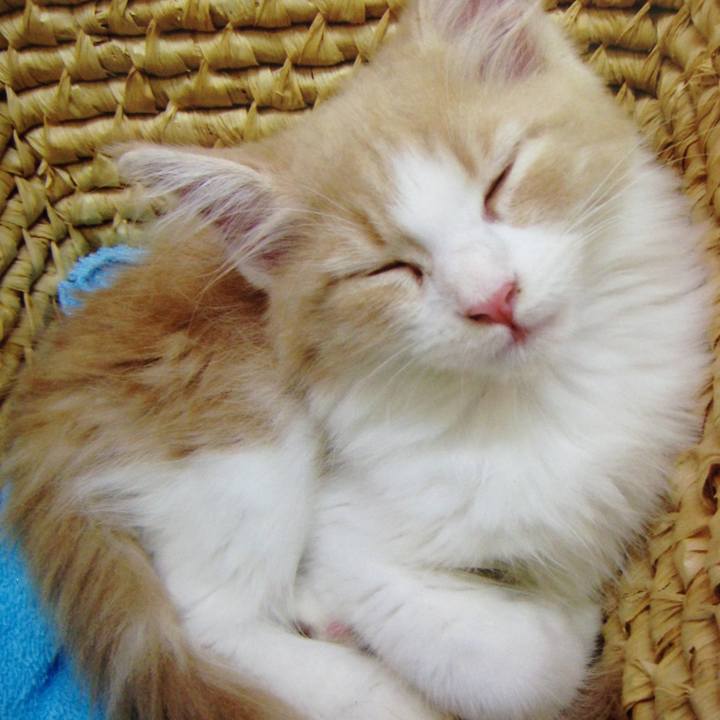 0ea1a599 b3e7 480a b825 225ec78f49e5