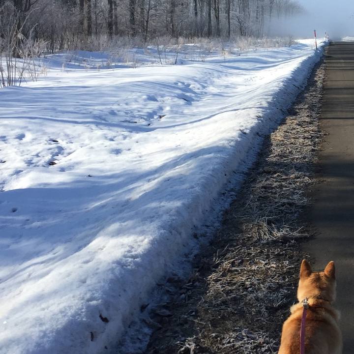 0ea1b880 7c06 44b4 8e11 8f8eeeb53983