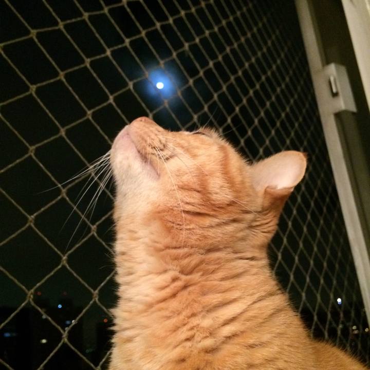 0ea2806d 9ce0 4557 b626 5c68fd1d68cf