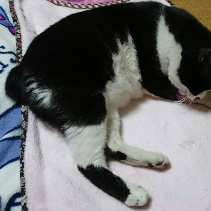 0ea301c1 14e8 4489 8655 d5970472b307