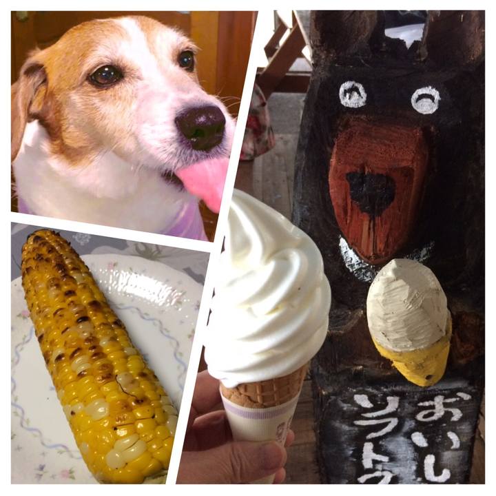 0ea30b26 43ef 41c2 a761 111c9f027a5e