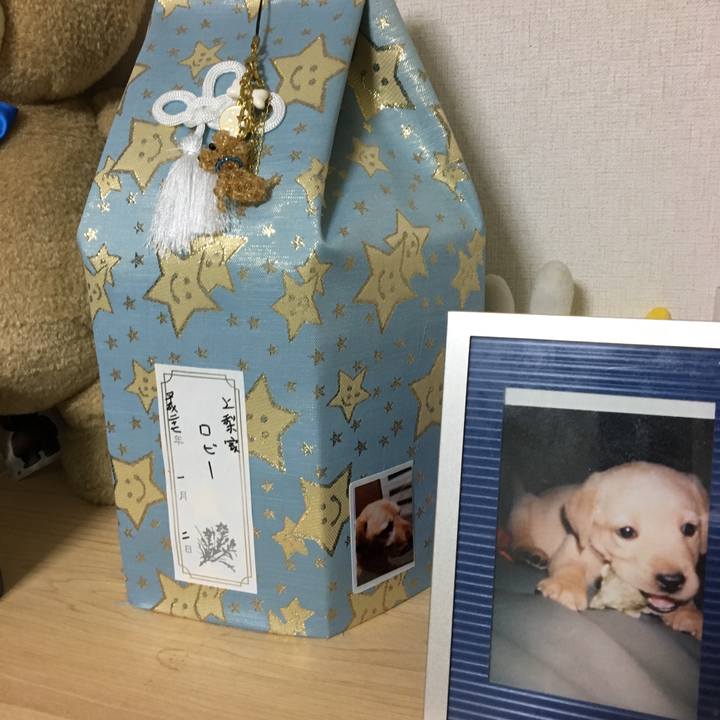 0ea366d3 a1c8 43a1 bb6b 7bef177ab621