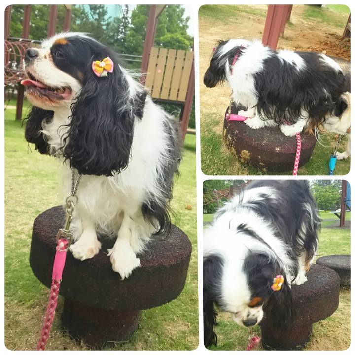 0ea39e1a 7f82 4ca5 9c34 7b1945286936