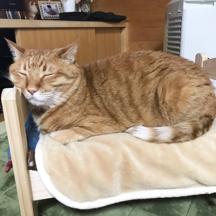 0ea3a424 f6e4 4d4b 8c0f efe8985f5590