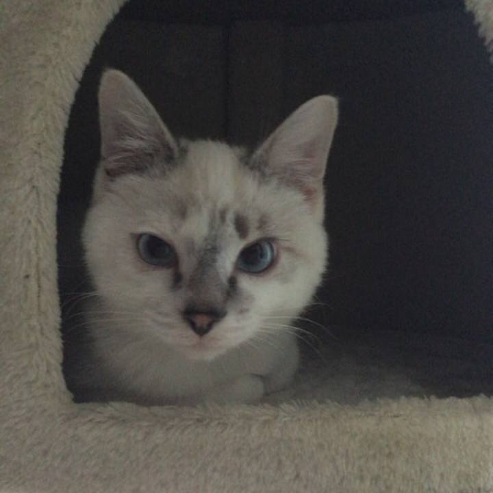 0ea3c2fd d3c6 40de b822 bcc5b09303e8