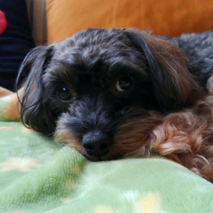 0ea4b806 09cb 4e63 8227 b9f6c00ba9e4