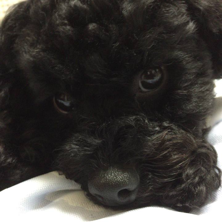 0ea5cb6c edf7 47f9 9a98 00d6ab5737f9