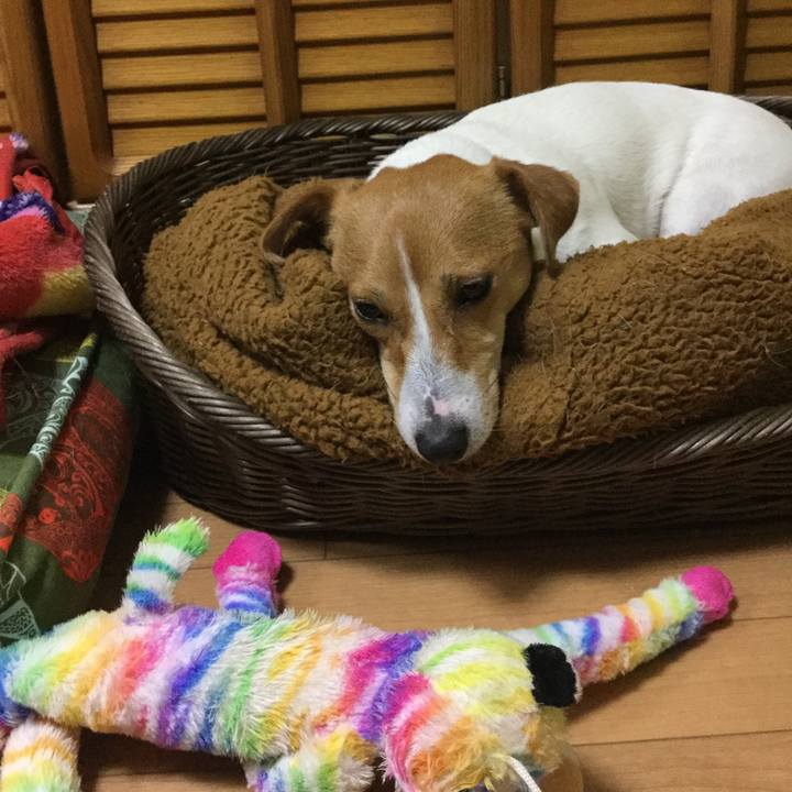 0ea61ca9 4567 4eaf 8d20 f8ba2e5ffdac