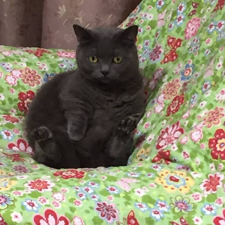 0ea62366 df52 467b bc8c 6ff9ca21e1dc