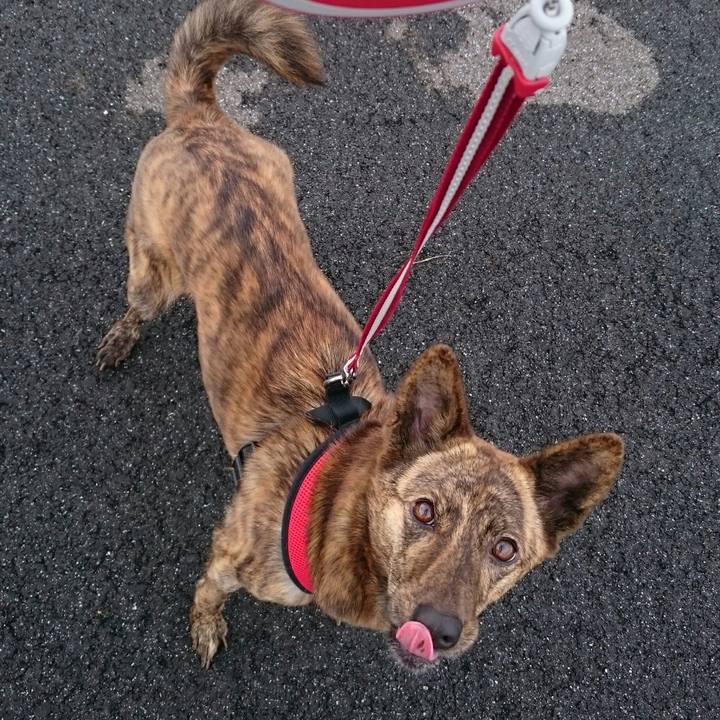 0ea650ef 7ef6 4a86 afdc c7ddd7a5a124