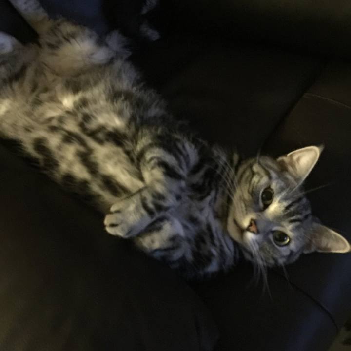 0ea6c981 be04 4665 aef7 d2379e2c8f3b