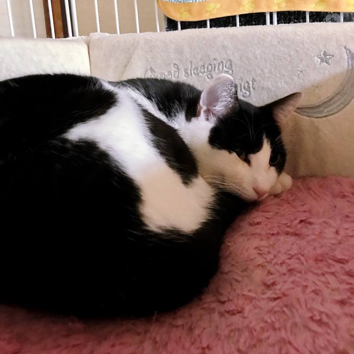 0ea6f9ad b146 417b af66 32d5830aace2