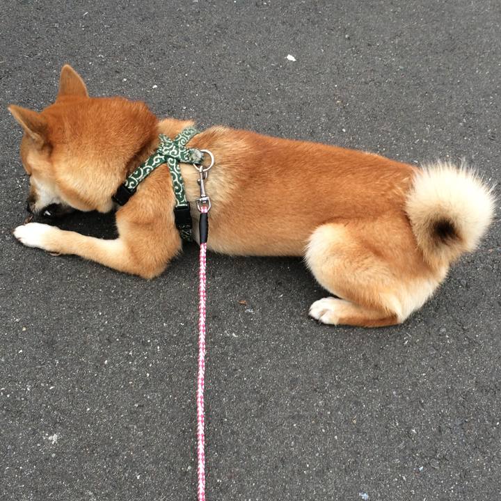 0ea792c0 b108 4c9b 90c2 465fb6947894