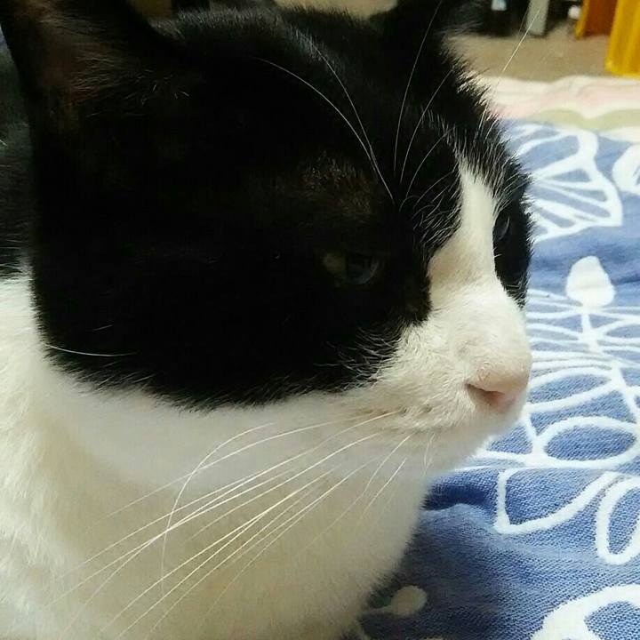 0ea7b7cd 1a40 4a75 b395 bee123900f40