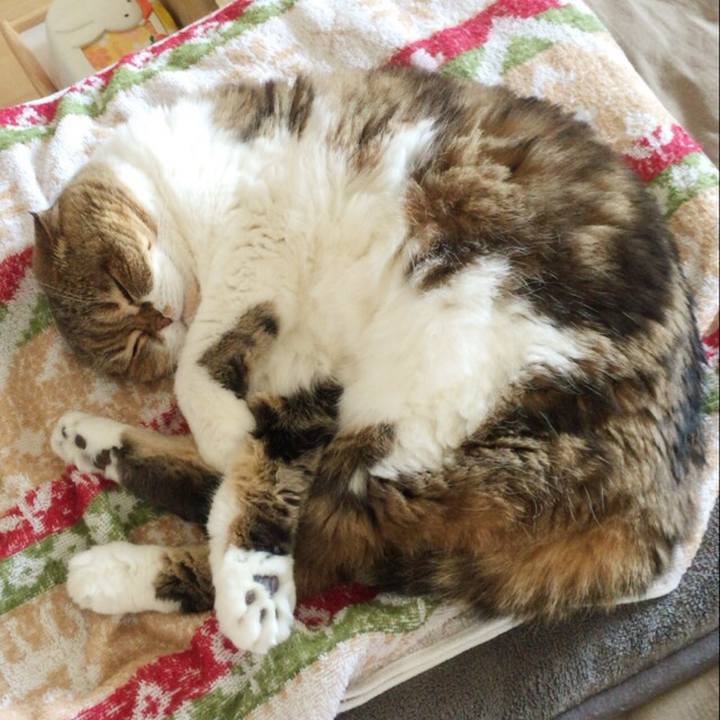 0ea83589 f294 4720 babf cf8dc99e02c3