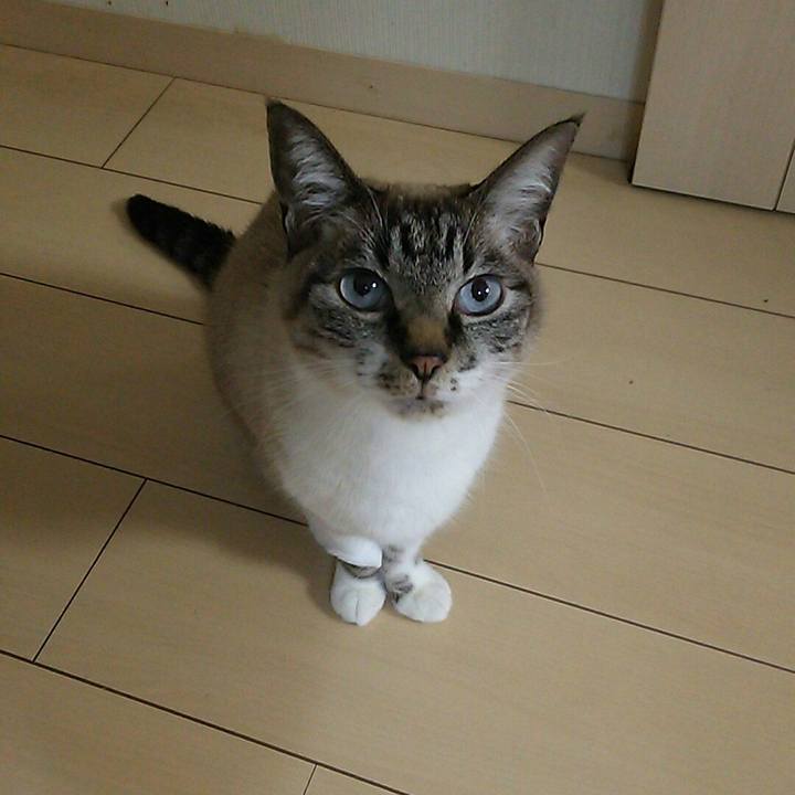 0ea8adbe 016c 4931 aac9 f442102a0ffd