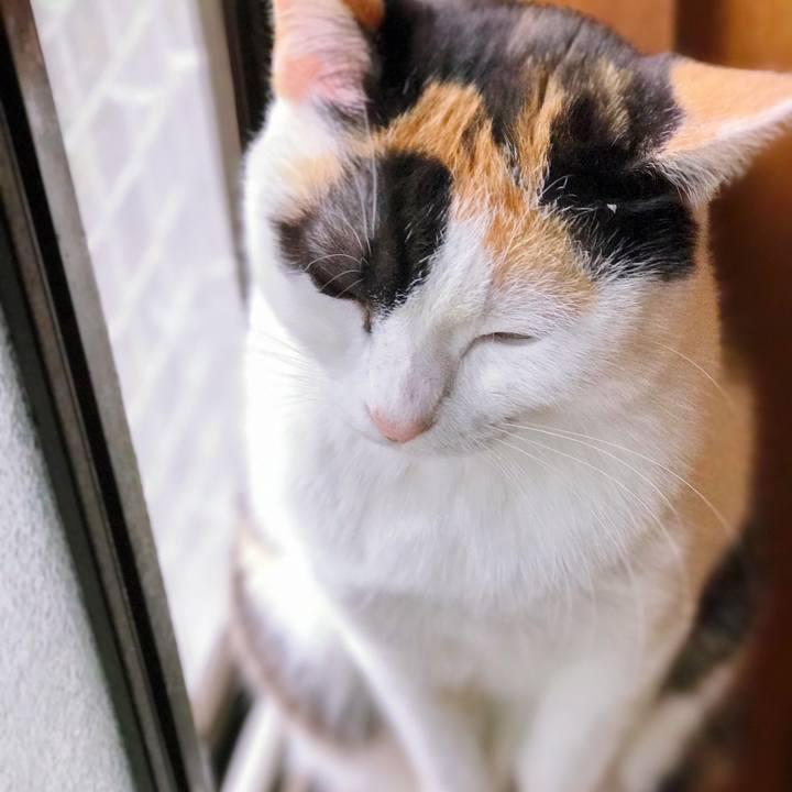 0ea8b8ea 6799 4d04 8569 1c81faf08bc4