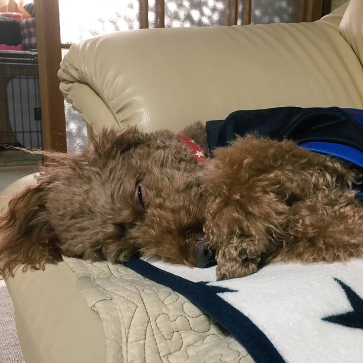 0ea9860f 2de0 41ec a8cb 6ca68ce7e822