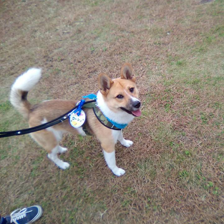 0eaa76b4 d85f 4e89 8053 40bf9ca78a4f