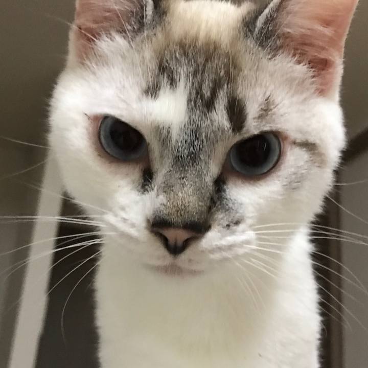 0eaa9491 0f75 49eb 912d d5f67b4b1ad7