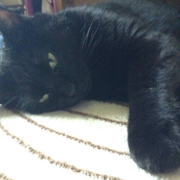 0eab4d9f cc6e 4433 9ec1 e718b18b7909