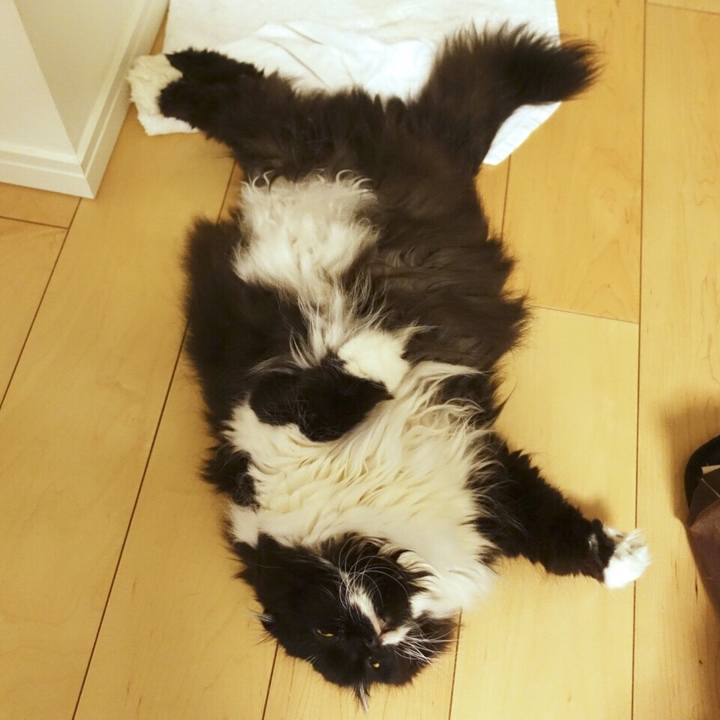 0eac0214 5af7 4b27 9512 a52be20ff5c9