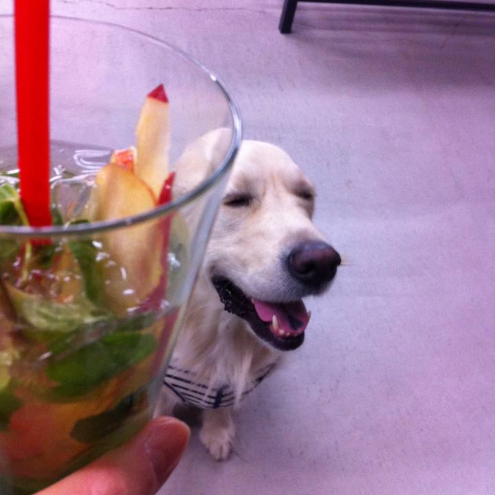 0eac2807 019b 4276 8284 05ebd0a89ec4