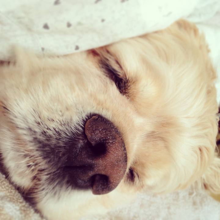 0eac4550 84d0 47df bd1c eb543843cef1