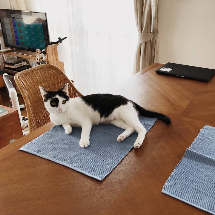 0eac61d6 cb10 408b 8f5d f92b89db7b65