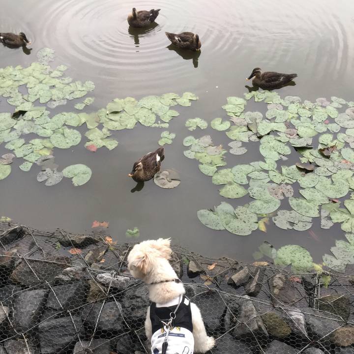 0eac87d3 861d 4089 bf72 61073ac4d532