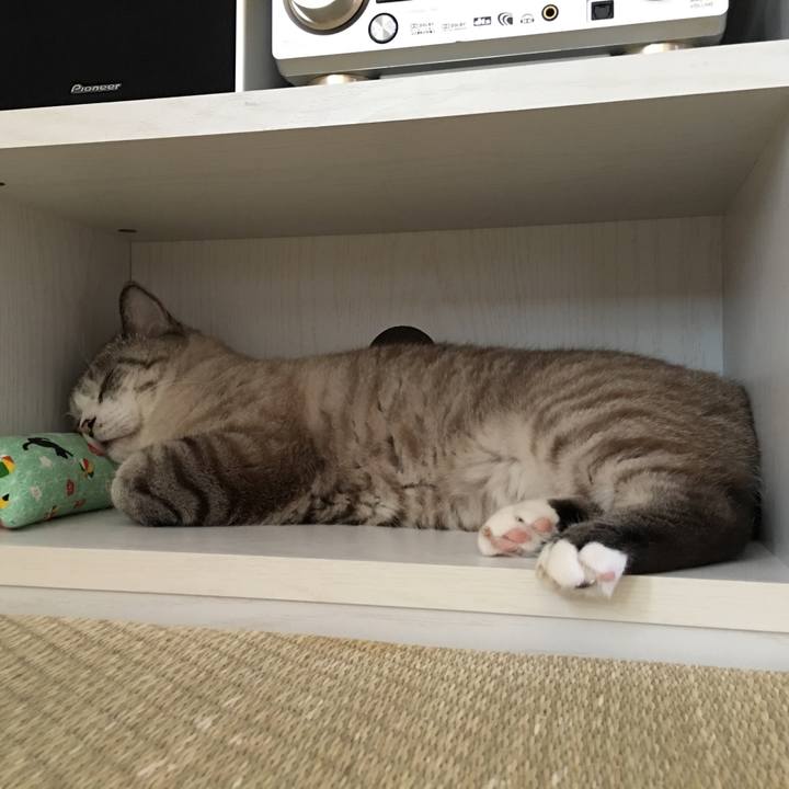 0eaca2ba 3812 491c 9b84 fcad87a226b7