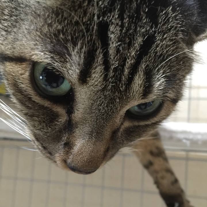 0eacfd20 9dbb 44cd 8828 cf624c185391