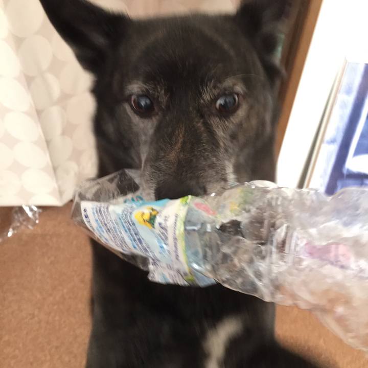 0ead16e5 4a09 45fa a1e6 0b4c8108aff1