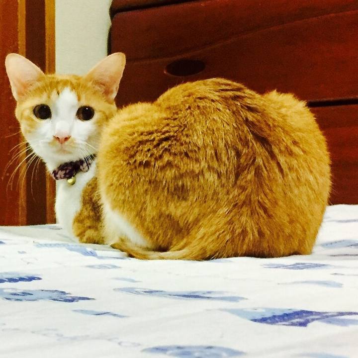 0ead6a97 afc4 42d0 bc23 e9bc7e985a8d