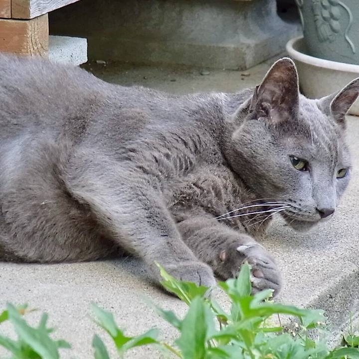 0eae10a5 aae6 4422 aeca 9c3f0e85e8b4