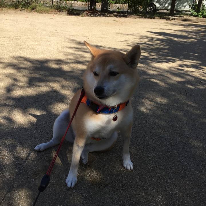 0eae75b0 52b7 4d09 a708 6055695ab439