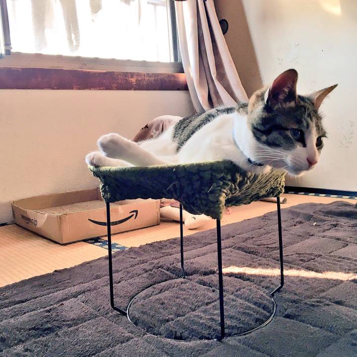 0eaebe18 4d6d 4392 a0a1 2f645ffb705f