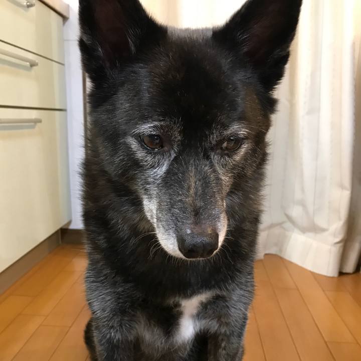 0eaf1c61 e045 4457 92a6 070e9fc7b26a