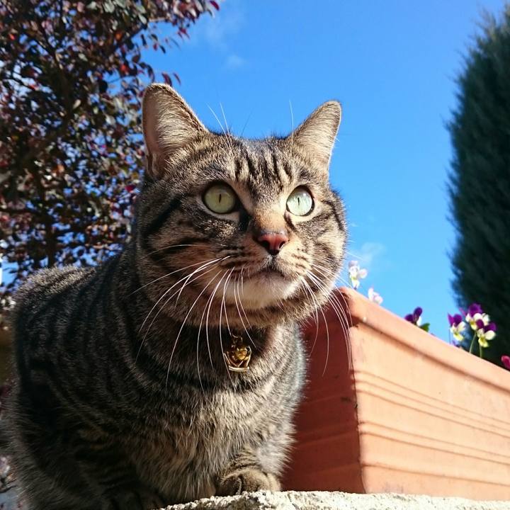 0eafd640 9ca3 4b38 a827 b15c25b5c065