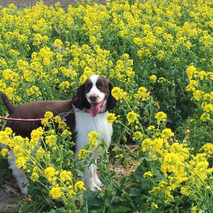 0eaffd31 e958 4d5b a4d8 7f7fb1149750