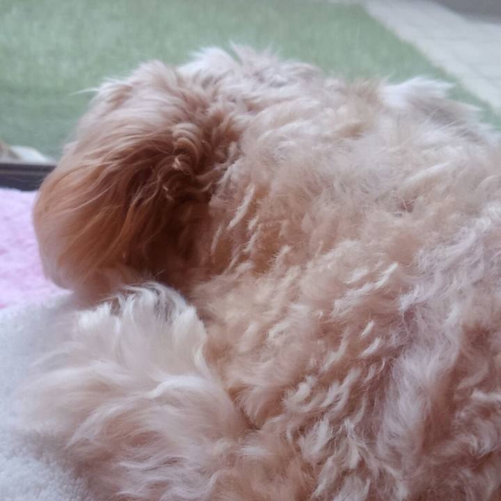 0eb07236 bdb3 4a11 a3ad 6724989a3db9