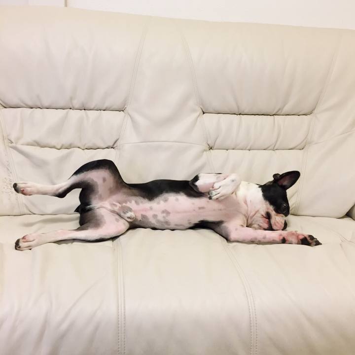 0eb1c1c2 6f05 4b14 88c5 7eb376cba842