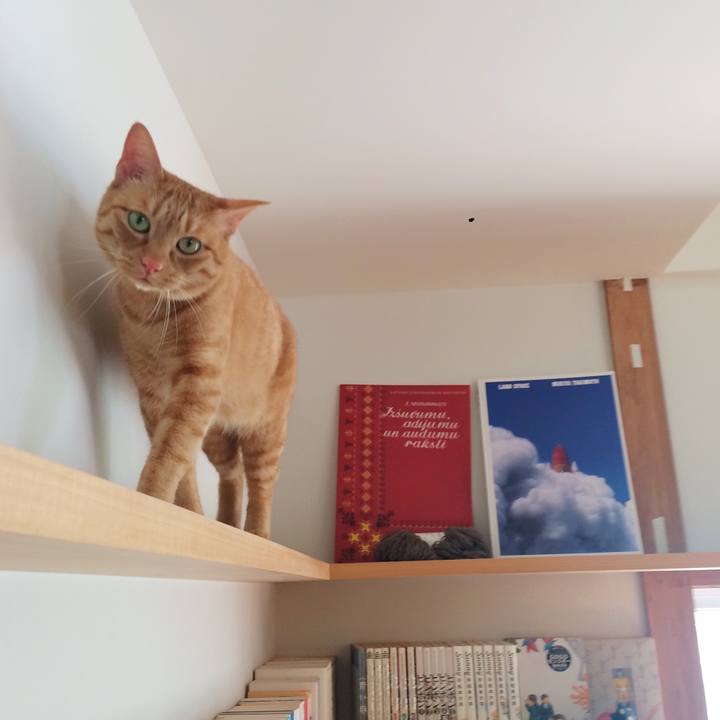 0eb1e629 b41f 48c4 8de6 e80233d21530