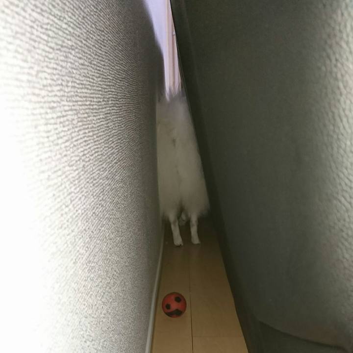 0eb1f39a eb03 4b3f 944d 97687e2d6899