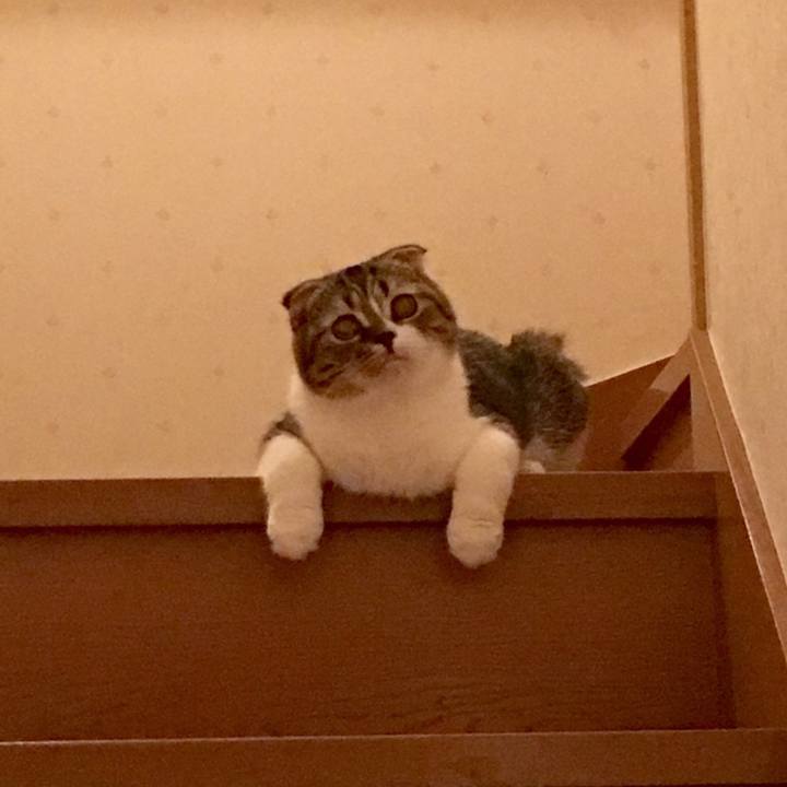 0eb2626f dc16 4e42 8814 e434e04d27a9