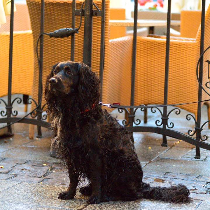 0eb269cd b164 43ea 9f01 e88e4ff07f6f