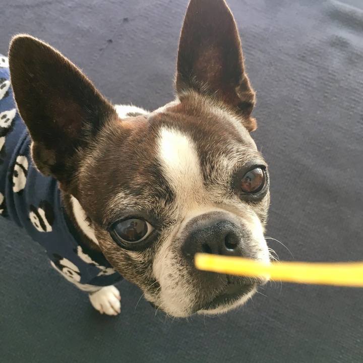 0eb28780 b331 4f9a a1f8 148e0b8101aa