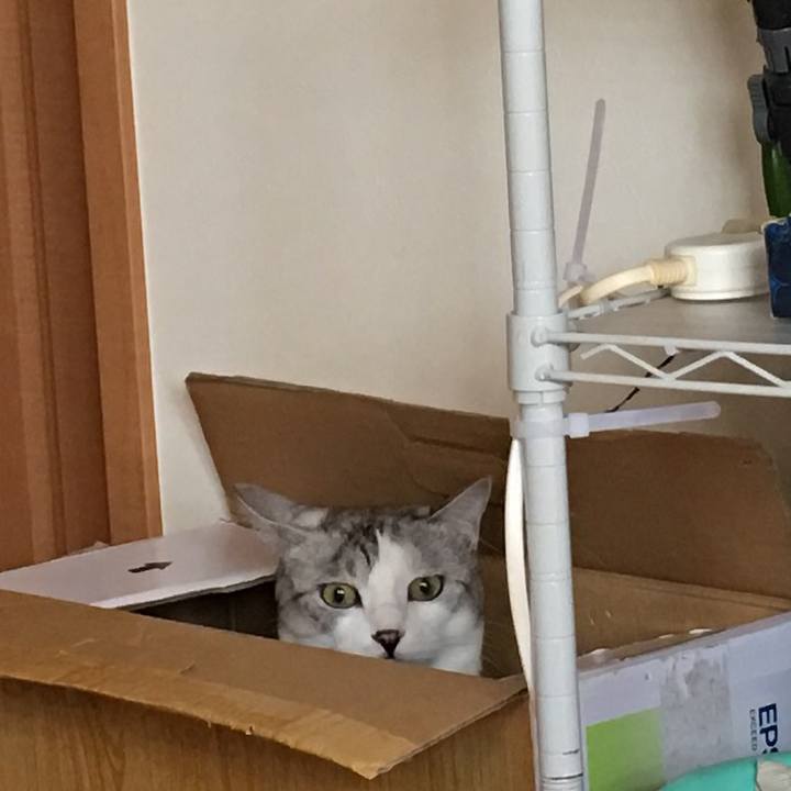 0eb2d0e4 ea5f 4a4e 8db9 5f6beedc4f9c