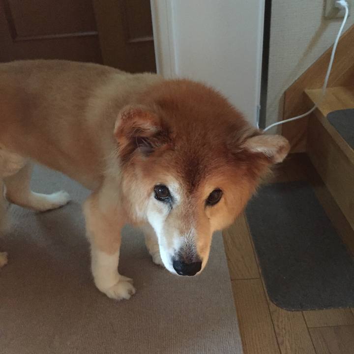 0eb34635 69fe 4b23 a2ba 9bcd20989e6e